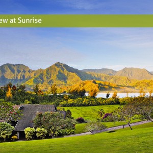 taro fields in valley of hanalei