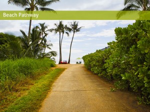 beach pathway