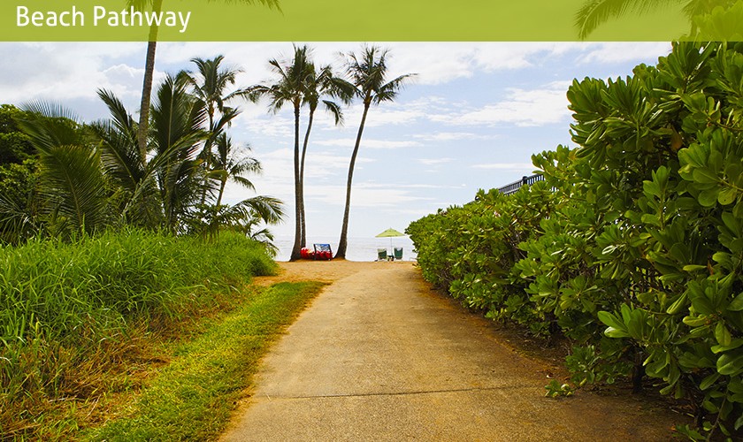 beach pathway