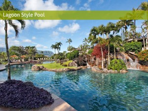 lagoon style pool