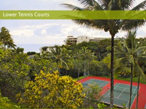 tennis court