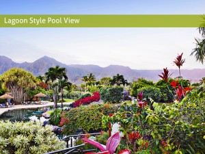 lagoon style pool view