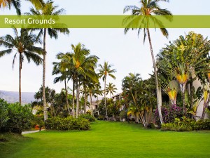 resort grounds