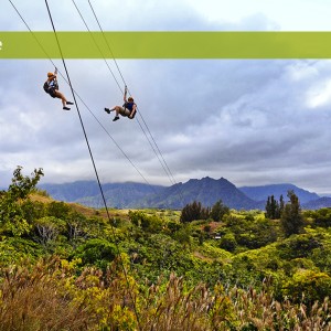 taro fields in valley of hanalei