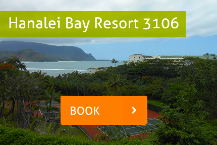 private rental 3106 - Hanalei Bay Resort.