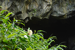 Maniniholo Dry Cave