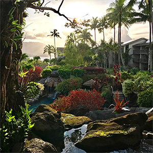 You Can’t Have a Rainbow Without a Little Rain! Rainy Day Things to do on Kauai