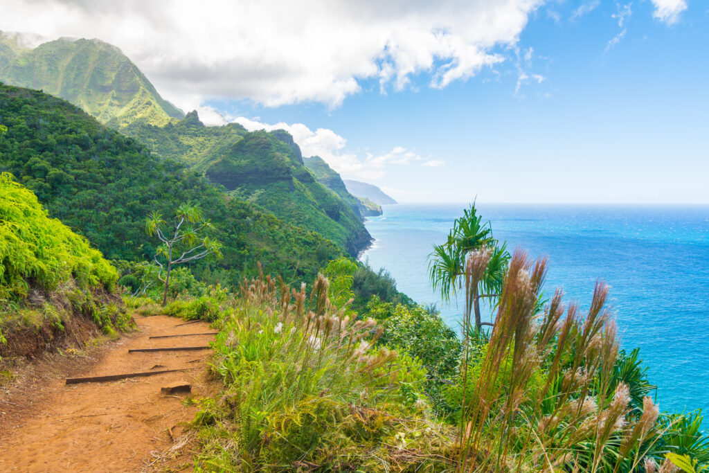 Ocean view in Kauai with dirt trail and lush greenery on the side of the mountain