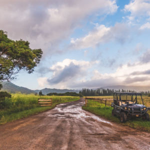 atv tours in kauai off roading vehicle on dirt path with trees and surrounding mountains