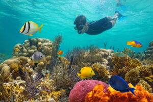 Ocean with colorful coral reef with tropical fish and a man snorkeling underwater