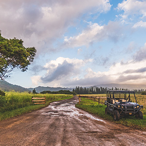 Off-Road Adventure on a Utility Terrain Vehicle