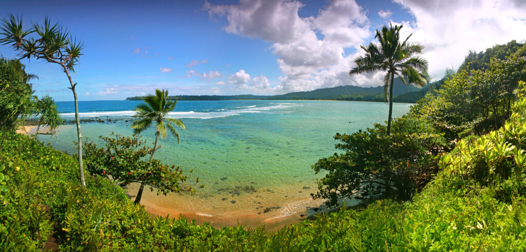 Paradise Beach in Kauai Hawaii With Turquoise  Water and Palm Trees