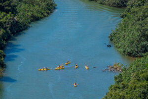 Kayakers on the hanalei river in kauai