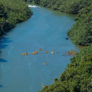 Kayaking the Hanalei River in Kauai: Adventure Awaits