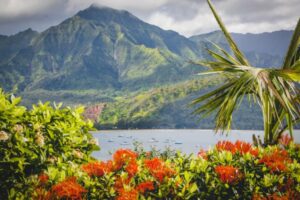 view of hanalei town in kauai