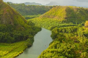 wailua river in kauai